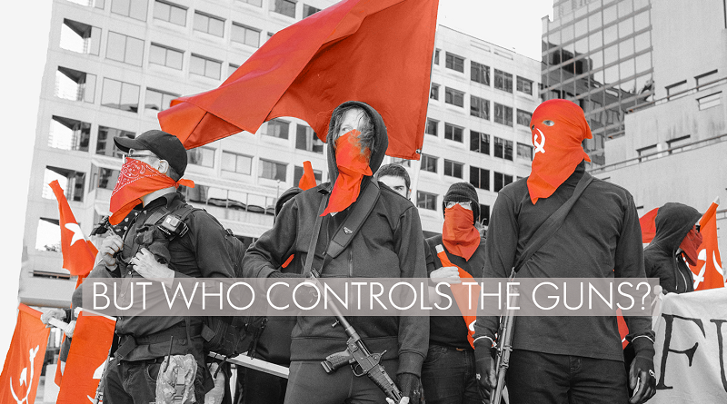 eksegese Omhyggelig læsning Hammer Red Guards Austin: But Who Controls the Guns? - Redspark