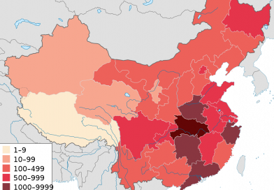Çin’de salgın ve kriz üzerine