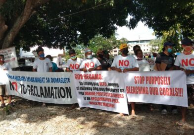 NDFP: Resist Land Reclamation Projects On Negros Island